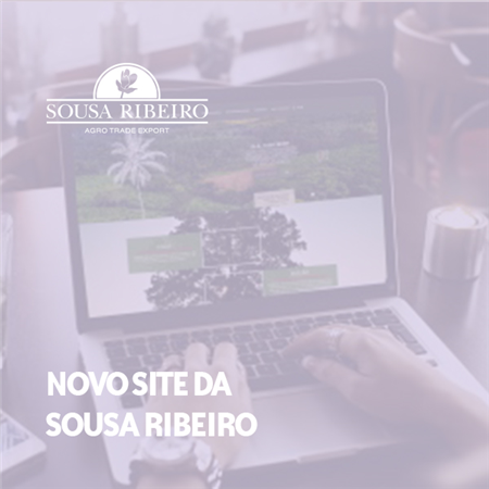 Imagem do projeto Novo site Sousa Ribeiro