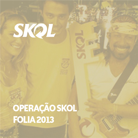 Imagem do projeto Operação Skol Folia 2013